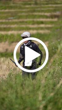 BIB:  <button type="button" onclick="openModal(26787224)" class="btn btn-primary btn-sm float-right" data-toggle="modal" data-target=".modal-high-quality">
                <i class="fa fa-download"></i> Download
                </button>